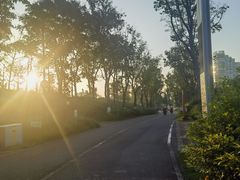-桂溪生态公园
