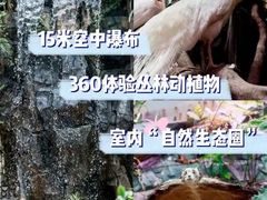-正佳雨林生态植物园