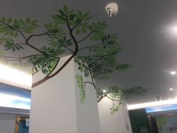 -重庆市九龙坡区妇幼保健院(B区)