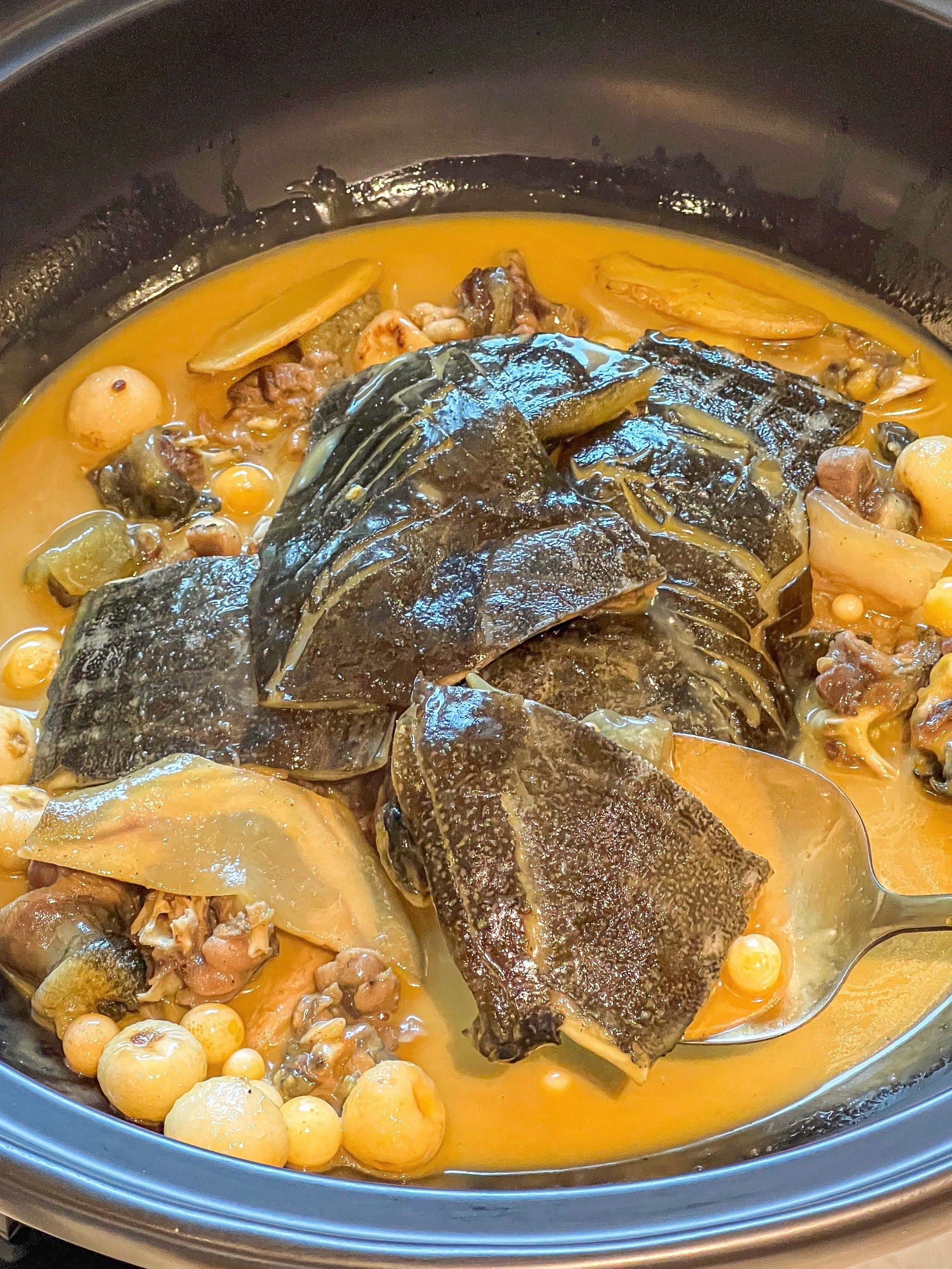 东莞这锅甲鱼煲也太滋补啦!好好吃的嘞!