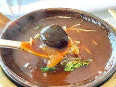-鱼翅楼·津派砂锅鱼翅(水上公园店)