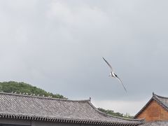 -珲春防川景区