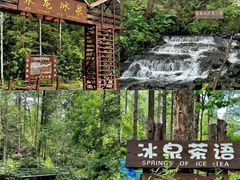 -峡谷浮石林景区