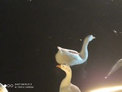 -长安大学(北校区)