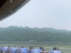 -中国宜宾·长江地标广场