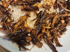 -五邑人家(江门店)