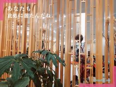 -汤里来温泉