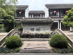 -枫泾丁氏烧卖(枫丽路店)