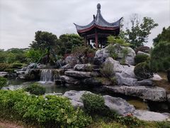 -东莞植物园