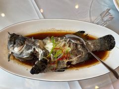 -印象高密·凤都国际大酒店