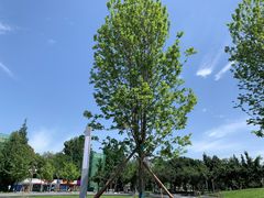-四川大学(望江校区)
