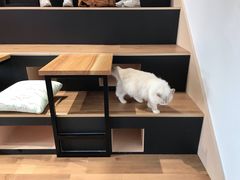 -瞄一喵猫咖(格力海岸店)