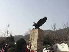 -北京鹫峰国家森林公园