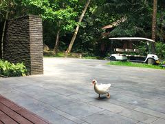 -七仙岭君澜度假酒店·桃源小馆中餐厅