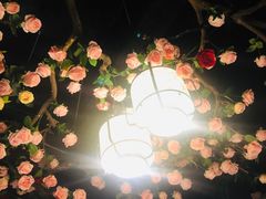 -韵秋荷(宝山龙湖天街店)