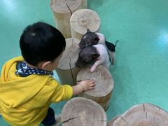 -藦茜花园宠物主题亲子互动体验馆(国顺东路店)