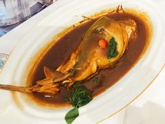 红烧河豚-肆月河豚·新淮扬(金融街店)