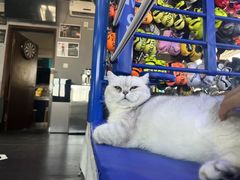 -M.S拳击泰拳馆(大学路店)