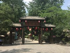 -合肥滨湖国家森林公园