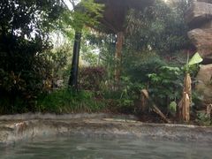 -深业半汤御泉庄温泉