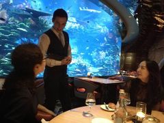 -迪拜帆船酒店海底餐厅