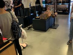 -COACH蔻驰(百联奥特莱斯广场店)