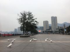 -海棠烟雨公园