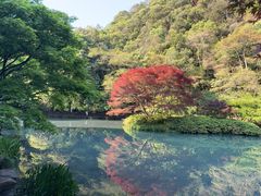 -香芙茗茶楼(梅家坞总店)