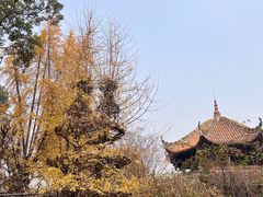 -青羊宫