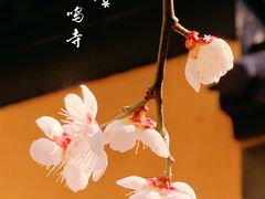 -鸡鸣寺