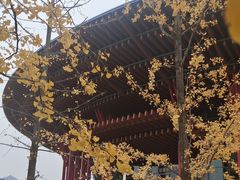 -北京雁栖湖国际会展中心