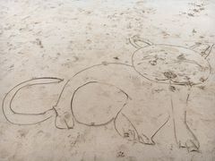 -青岛金沙滩