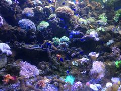 -左海海底世界