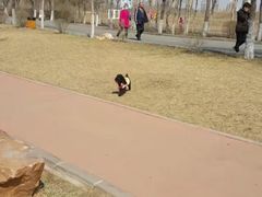 -丁香湖公园