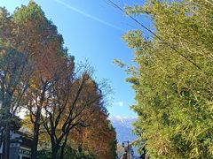 -大理文庙(大理古城)