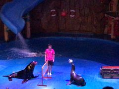 -烟台海昌鲸鲨海洋公园