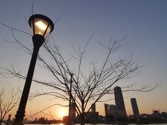 -上海山野camping·户外天幕烧烤·团建拓展营地
