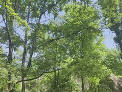 -秦岭终南山世界地质公园翠华山景区