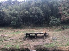 -宁波野生动物园