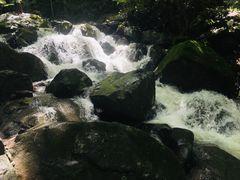 -藏龙百瀑风景区