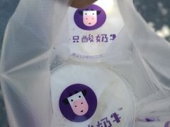 -一只酸奶牛(东方广场店)