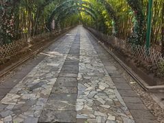 -蝴蝶泉公园
