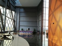 -郑州大剧院