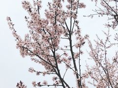 -南山风景名胜区