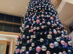 -新发展亚太JW万豪酒店·福苑咖啡厅