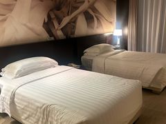 -国家会议中心大酒店