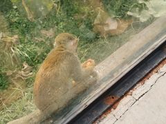 -石家庄市动物园