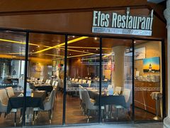 -Efes Turkish & Mediterranean Cuisine 艾菲斯餐厅(陆家嘴店)