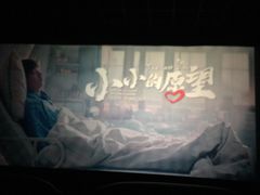 -上海金逸影城(静安大悦城店（原新恒星影城）)