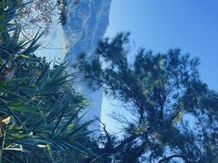 -羚羊峡古栈道森林公园